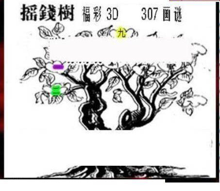 24307期: 三毛3D精品图谜