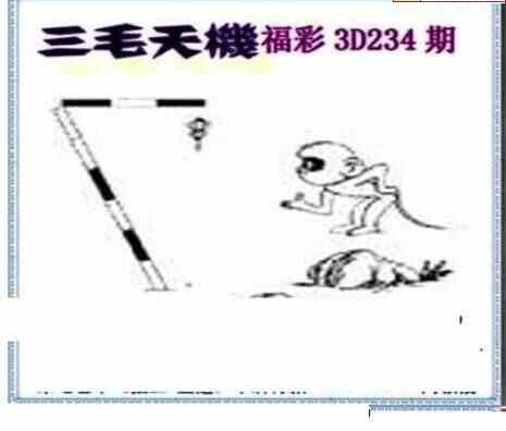 24234期: 三毛3D精品图谜