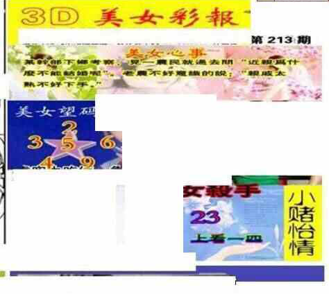 24213期: 三毛3D精品图谜