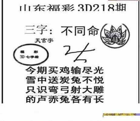 24218期: 三毛3D精品图谜