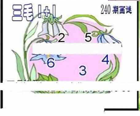 24240期: 三毛3D精品图谜