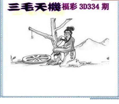 24334期: 三毛3D精品图谜