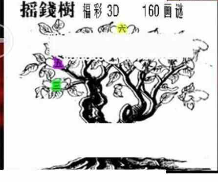 24160期: 三毛3D精品图谜