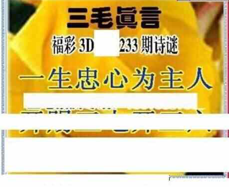 24233期: 三毛3D精品图谜