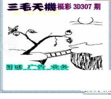 24307期: 三毛3D精品图谜