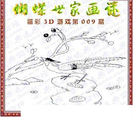 25009期: 3D蝴蝶世家蝴蝶彩图