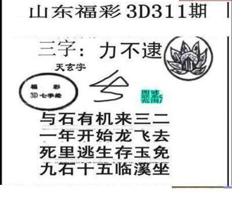 24311期: 三毛3D精品图谜