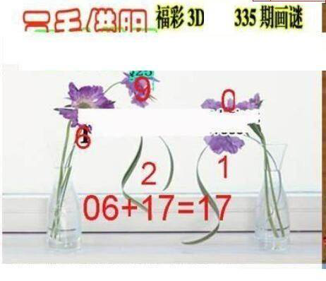 24335期: 三毛3D精品图谜