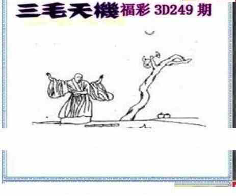 24249期: 三毛3D精品图谜