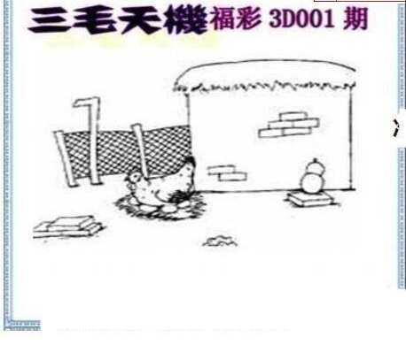 25001期: 三毛3D精品图谜