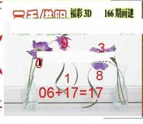 24166期: 三毛3D精品图谜