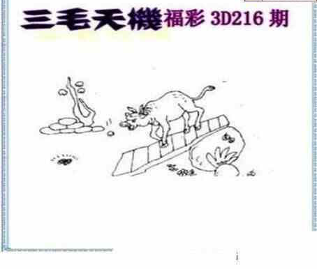 24216期: 三毛3D精品图谜