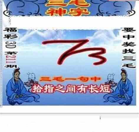 24211期: 三毛3D精品图谜