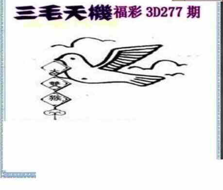 24277期: 三毛3D精品图谜