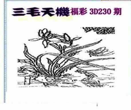 24230期: 三毛3D精品图谜