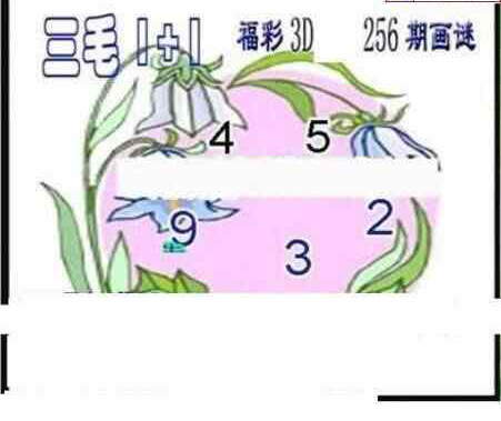 24256期: 三毛3D精品图谜