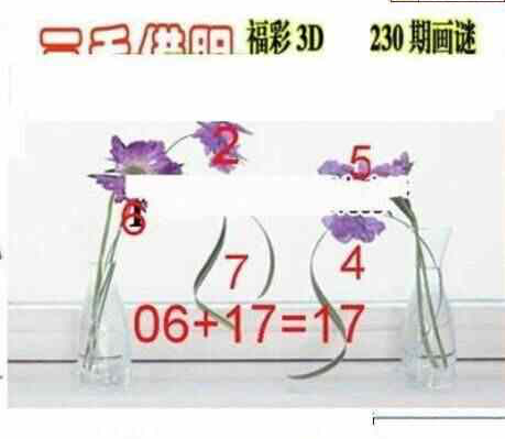 24230期: 三毛3D精品图谜