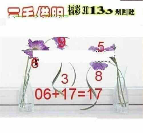 24133期: 三毛3D精品图谜