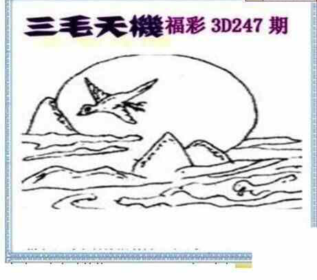 24247期: 三毛3D精品图谜