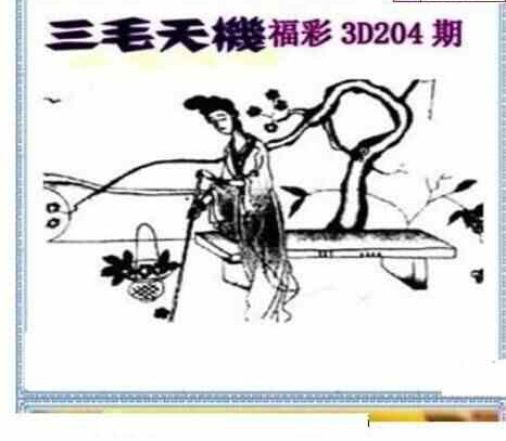 24204期: 三毛3D精品图谜