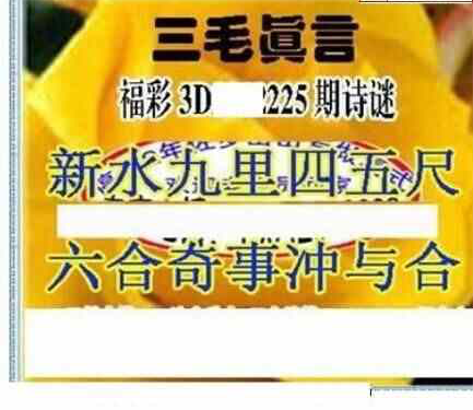 24225期: 三毛3D精品图谜