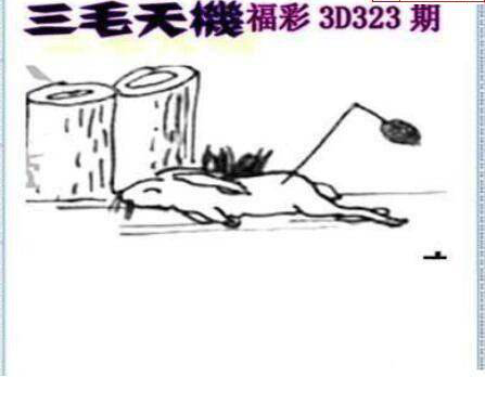 24323期: 三毛3D精品图谜