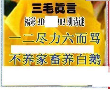 24303期: 三毛3D精品图谜