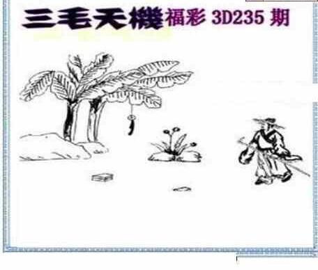 24235期: 三毛3D精品图谜