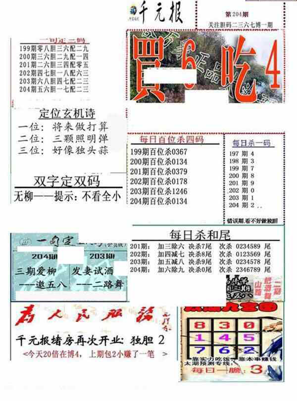 24205期: 福彩3D全套图版参考