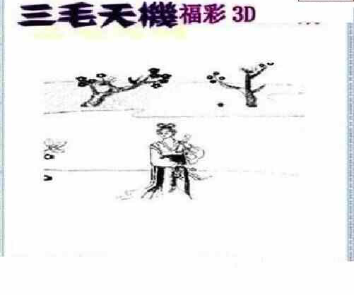 24130期: 三毛3D精品图谜