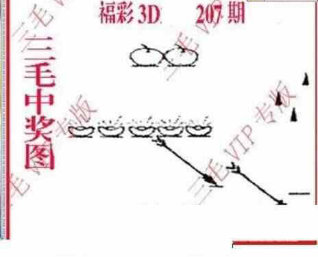 24207期: 三毛3D精品图谜