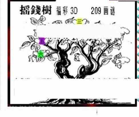 24209期: 三毛3D精品图谜