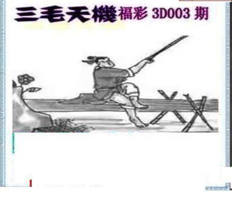 25003期: 三毛3D精品图谜