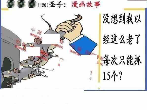 24120期: 福彩3D丹东全图分析