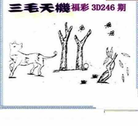 24246期: 三毛3D精品图谜