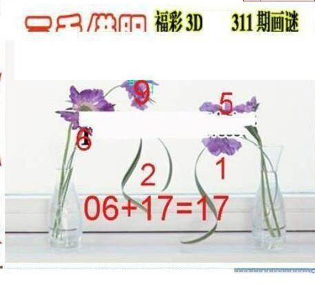 24311期: 三毛3D精品图谜