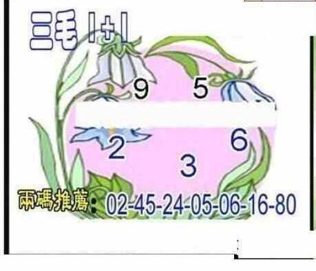 24080期: 三毛3D精品图谜