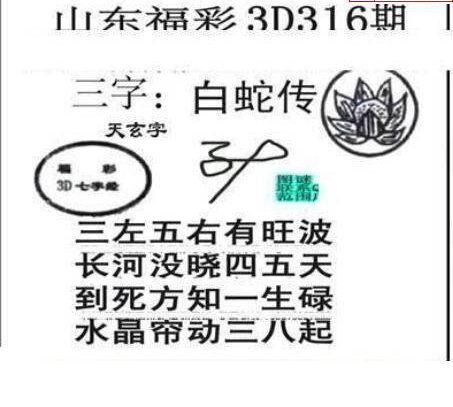 24316期: 三毛3D精品图谜