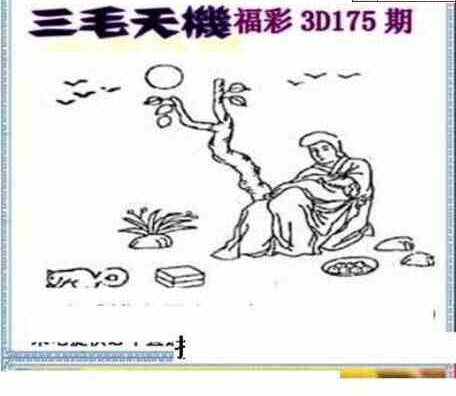 24175期: 三毛3D精品图谜