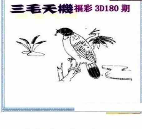 24180期: 三毛3D精品图谜