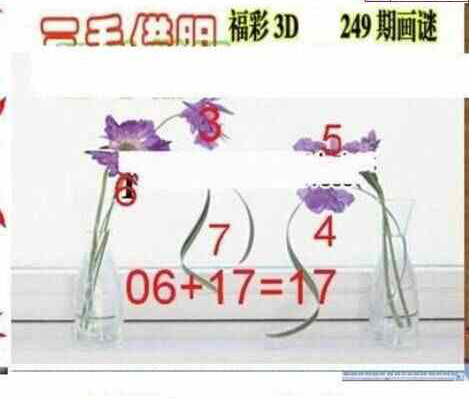 24249期: 三毛3D精品图谜