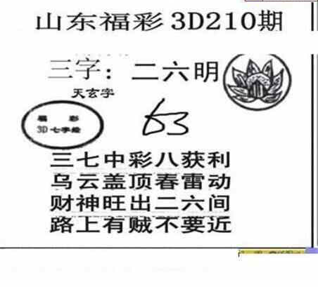 24210期: 三毛3D精品图谜