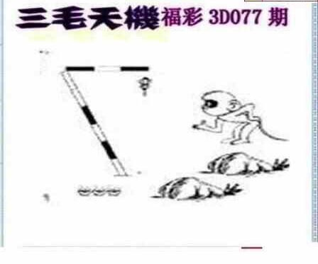 24077期: 三毛3D精品图谜