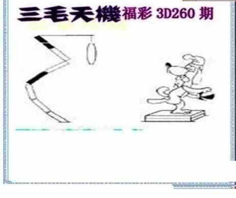 24260期: 三毛3D精品图谜