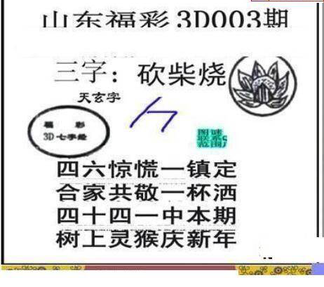 25003期: 三毛3D精品图谜