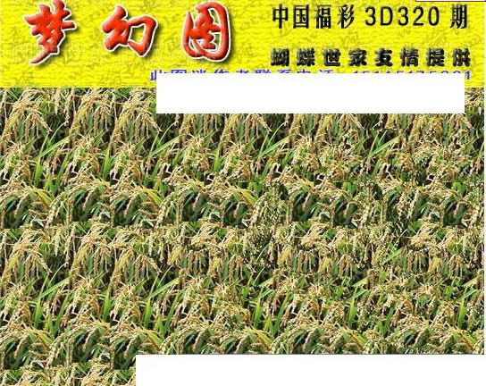 24320期: 3D蝴蝶世家蝴蝶彩图