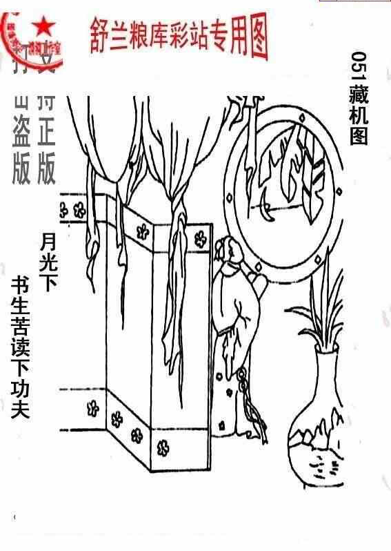 24051期: 老村长福彩3D天天图谜