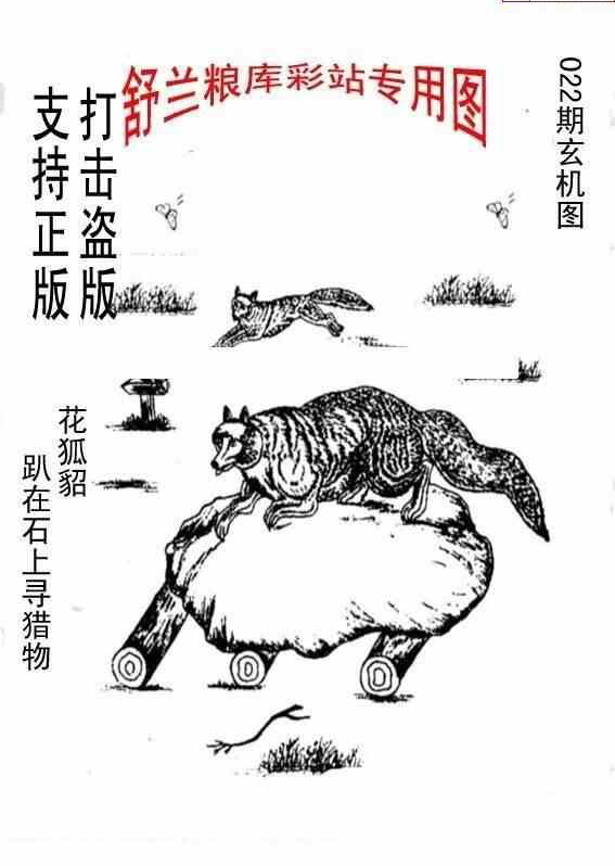 24022期: 老村长福彩3D天天图谜