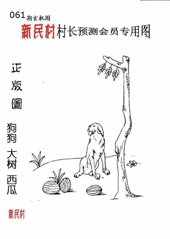 24061期: 老村长福彩3D天天图谜